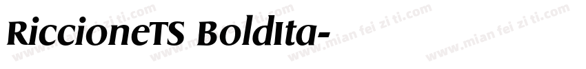RiccioneTS BoldIta字体转换